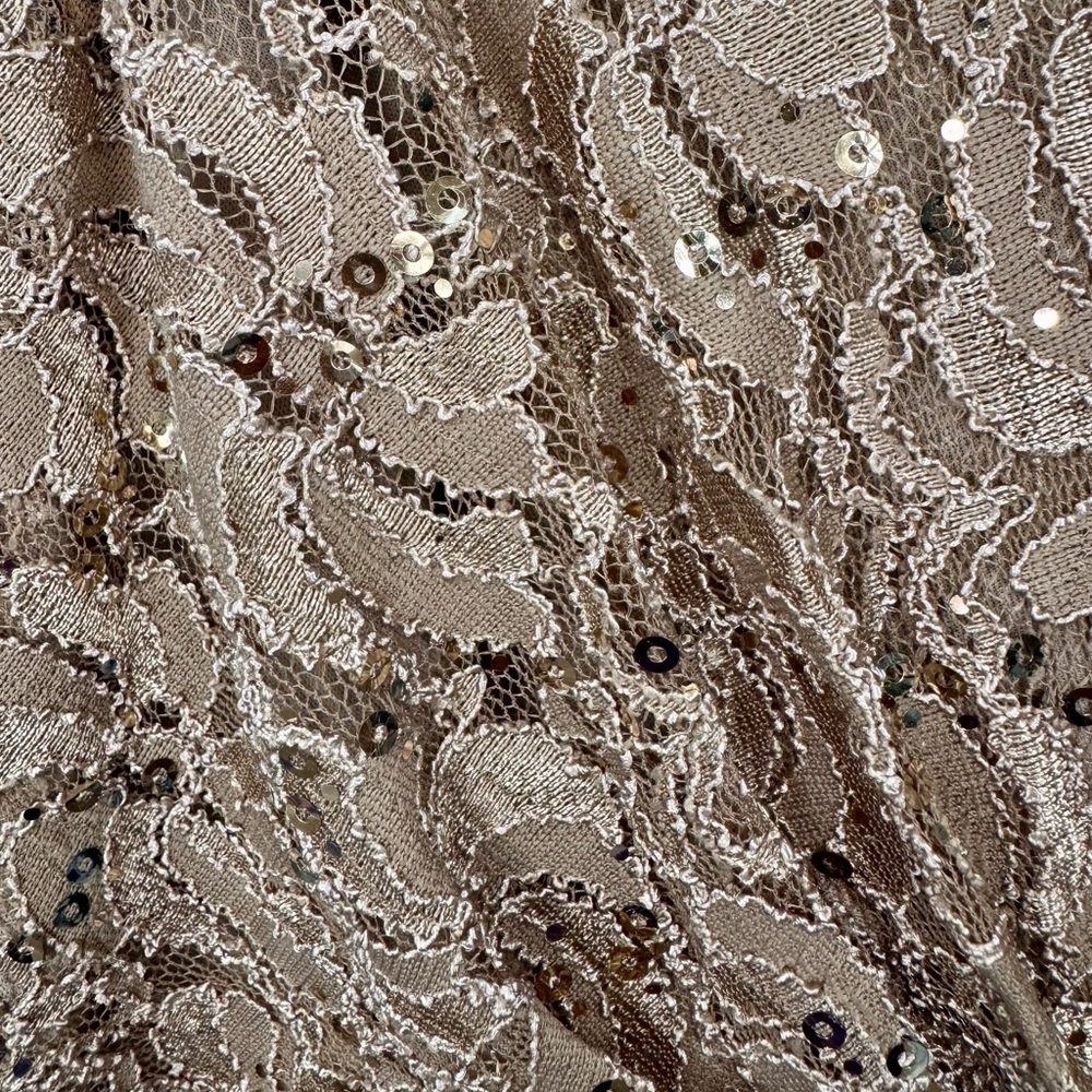 Ursula of Switzerland Champagne Lace Midi Dress | Size 6 - Picture 2 of 4